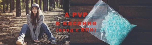 стаф Алексин