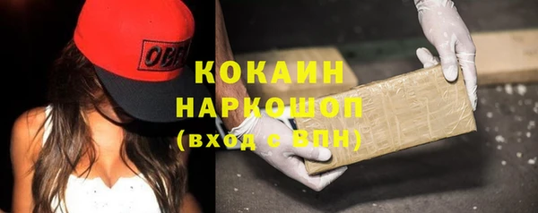 гашик Алзамай