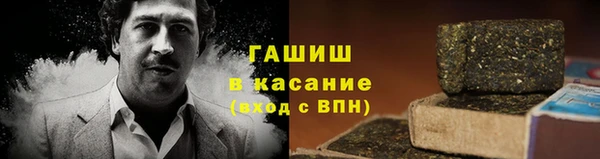 стаф Алексин
