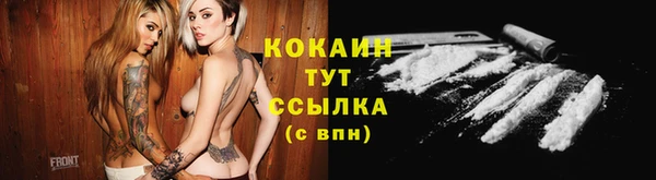 гашик Алзамай