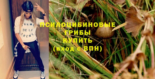 гашик Алзамай
