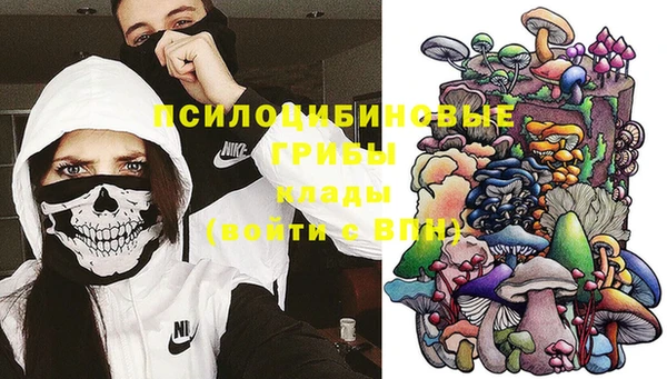 стаф Алексин