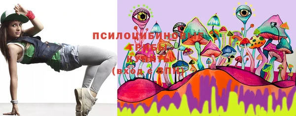 стаф Алексин