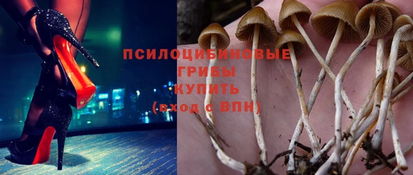 spice Алексеевка