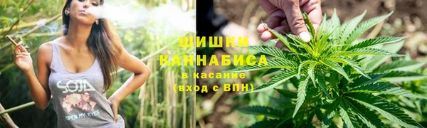 гашик Алзамай